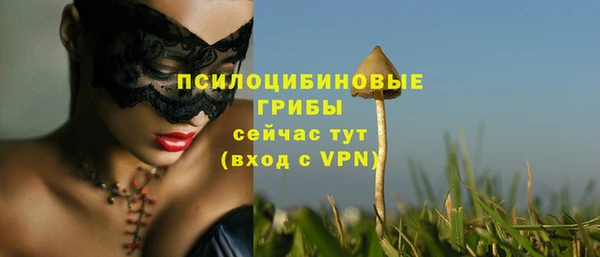 МДПВ Кукмор