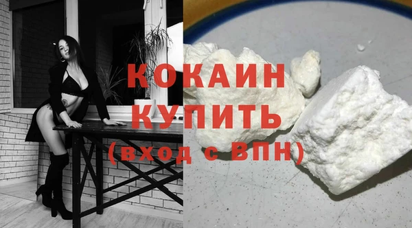 МДПВ Кукмор