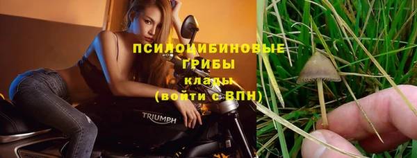 МДПВ Кукмор