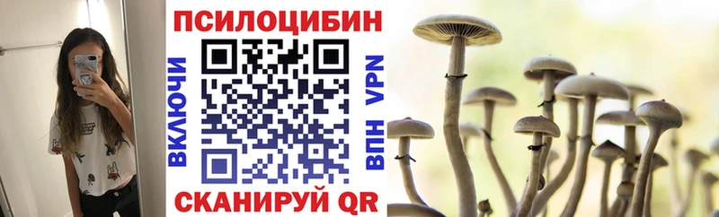 Псилоцибиновые грибы Cubensis  ОМГ ОМГ ссылки  Медвежьегорск 